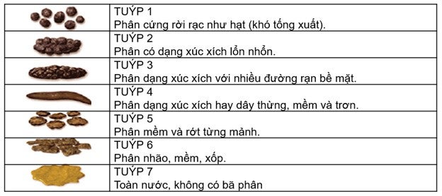 Thang điểm đánh giá hình dạng phân Bristol