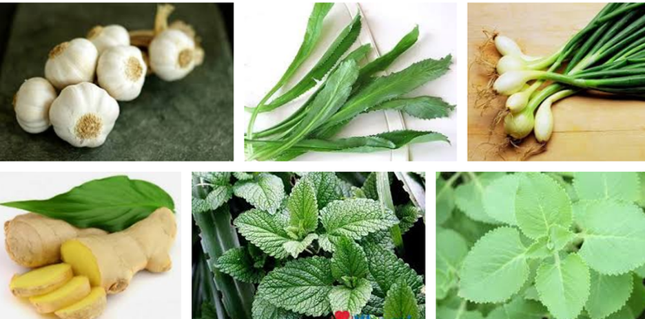 các bài thuốc chữa cảm cúm hiệu quả từ thực phẩm