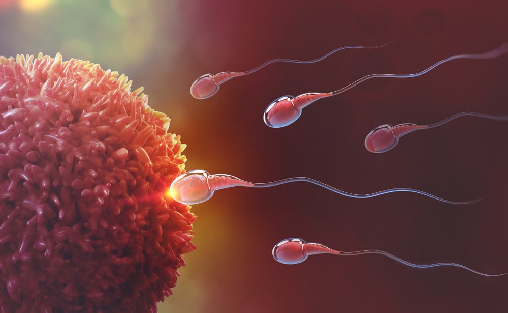 Gen Z đã biết về quá trình thụ thai?