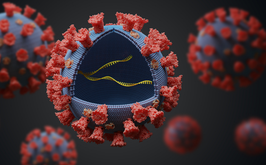 Hình ảnh minh họa cấu trúc 3D của virus cúm