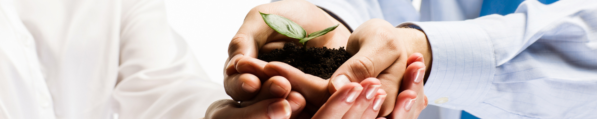 điều khoản và điều kiện