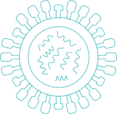 Cúm và COVID-19 đều là các bệnh dễ lây truyền qua đường hô hấp