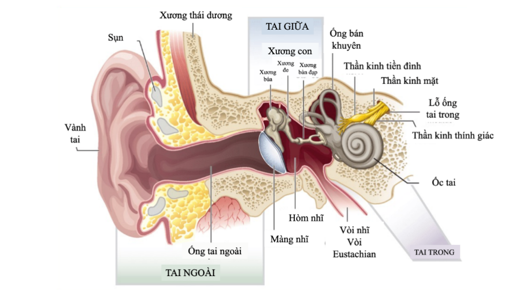 Bệnh Ménière là gì?