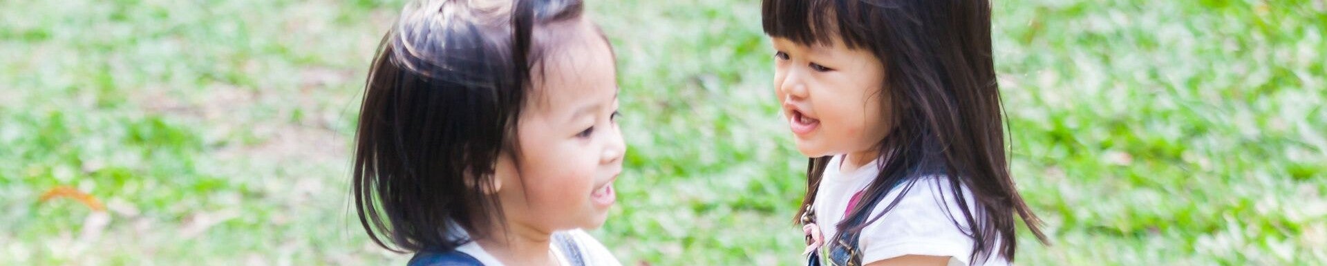  Img Alt - Mobile header 
