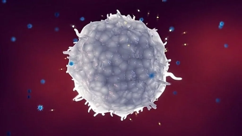 Hệ thống miễn dịch giải phóng cytokine để chống lại virus cúm. Tuy nhiên sự sản xuất quá mức sẽ tạo thành “bão cytokine” có thể dẫn đến suy cơ quan hoặc thậm chí tử vong