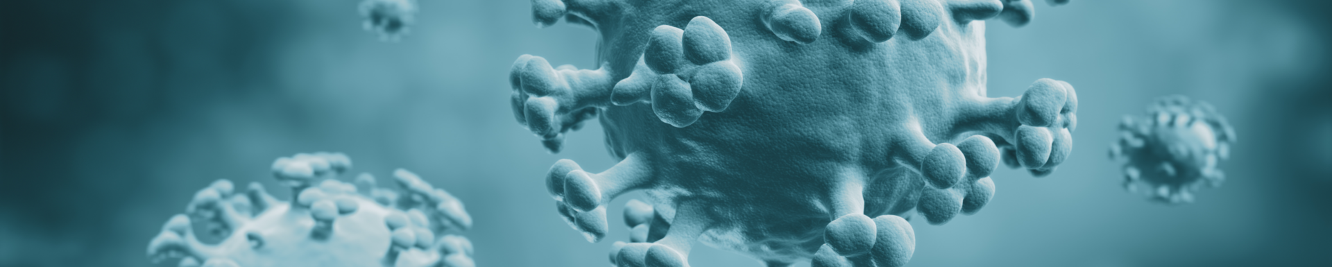  Img Alt - Mobile header 