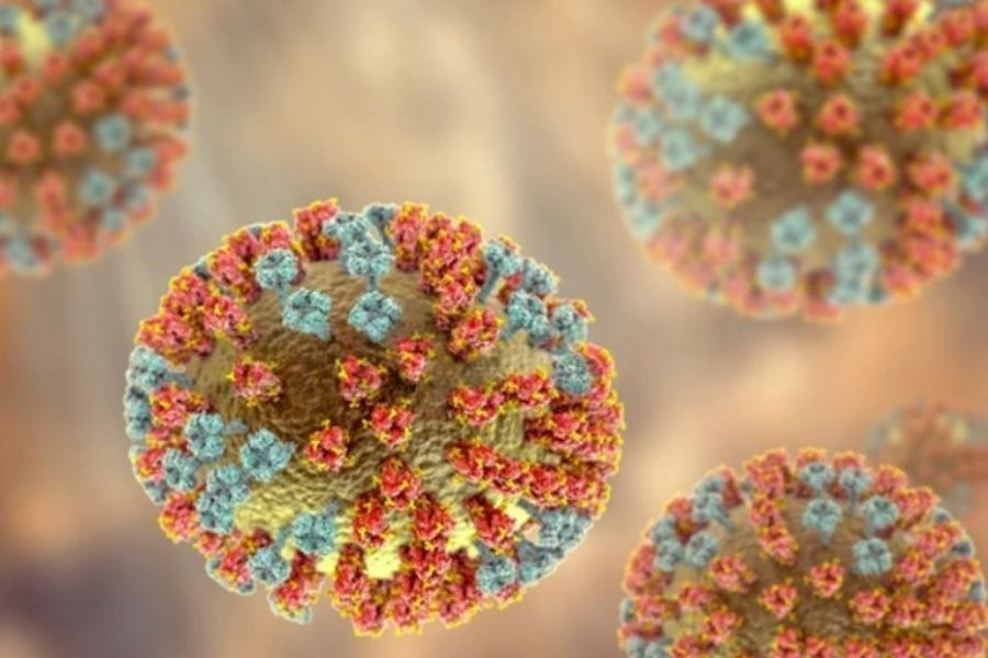 Bốn chủng virrus cúm thường lưu hành