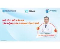 Mỡ tốt, mỡ xấu và tác động của chúng tới cơ thể
