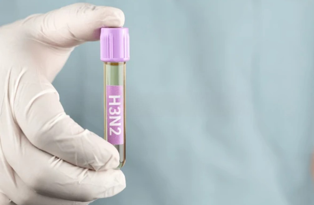 Biến thể K của vi rút cúm A/H3N2 có điểm gì khác? 